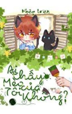 Ai Thấy Mèo Của Tôi Không