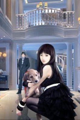 Bìa truyện Ẩn Sĩ - Lê Thanh Tùng