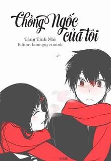 Bìa truyện Anh Chồng Ngốc Của Tôi - Trần Ninh