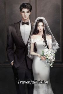 Bìa truyện Anh Tần, Chỉ Là Kết Hôn Chớp Nhoáng Thôi