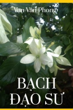 Bìa truyện Bạch Đạo Sư