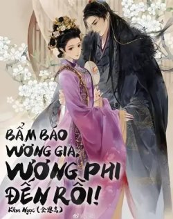 Bìa truyện Bẩm Báo Vương Gia Vương Phi Đến Rồi - Kim Ngọc
