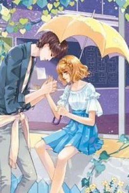 Bìa truyện Bắt Cóc Tiểu Bảo ký - Trương Bất Nhất