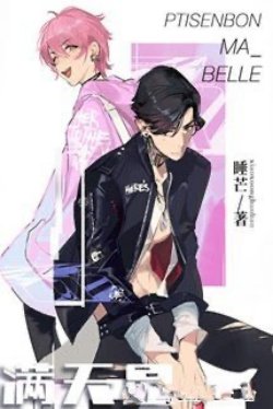 Bìa truyện Bầu Trời Đầy Sao