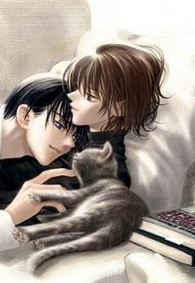 Bìa truyện Biến Miêu Ký - Hi Hòa Thanh Linh