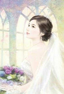 Bìa truyện Cám Ơn Định Mệnh Đã Để Anh Gặp Được Em - Hoa Tuyết Tử