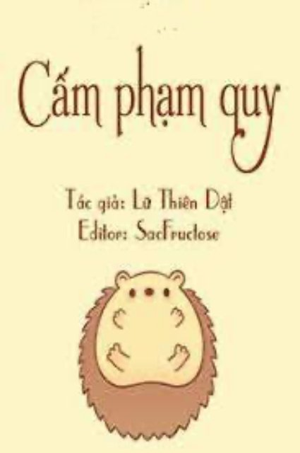 Bìa truyện Cấm Phạm Quy - Lữ Thiên Dật