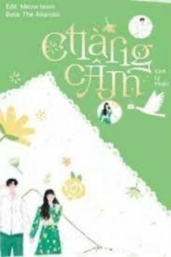 Bìa truyện Chàng Câm - Kính Lý Phiến