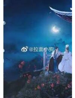 Bìa truyện Chàng Dâu Phương Nam Của Ông Chủ Nhỏ Đông Bắc