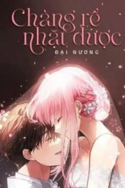 Bìa truyện Chàng Rể Nhặt Được