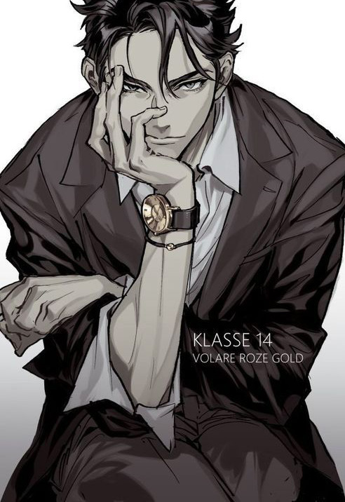 Bìa truyện Chàng Rể Vô Song - Dương Phi