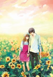 Bìa truyện Chàng Trai Trong Hoa Hướng Dương - Ức Cẩm