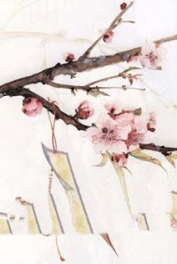 Bìa truyện Chàng Trai Vượt Thời Gian - Chung Hiểu Sinh