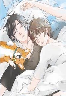 Bìa truyện [Chí Ái Tiểu Quỷ Hệ Liệt] - Bộ 3 - Hướng Tả Phiêu Đích Vũ - Bunny
