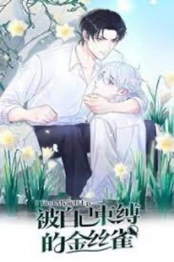 Bìa truyện Chim Hoàng Yến Bị Trói Buộc Bởi Chính Mình