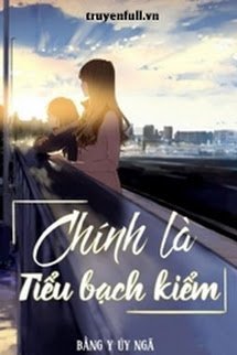 Bìa truyện Chính Là Tiểu Bạch Kiểm - Bằng Y Úy Ngã