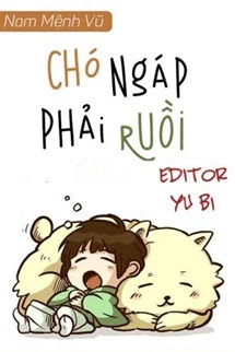 Bìa truyện Chó Ngáp Phải Ruồi - Nam Mệnh Vũ - Nam Mệnh Vũliễu Tự Hàn