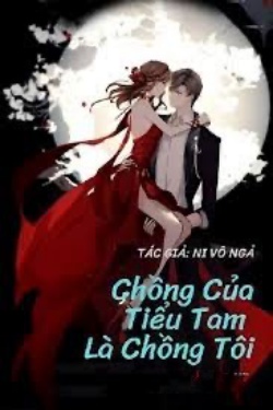 Bìa truyện Chồng Của Tiểu Tam Là Chồng Tôi - Ni Vô Ngả