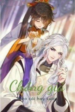 Bìa truyện Chồng Già