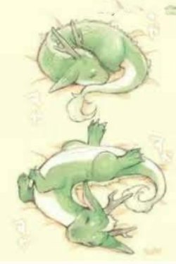 Bìa truyện Chú Rồng Thích Khóc Và Người Hiền Thê Của Hắn