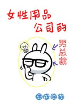 Bìa truyện Chủ Tịch Công Ty Băng Vệ Sinh