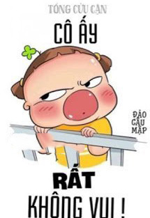 Bìa truyện Cô Ấy Rất Không Vui! - Tống Cửu Cận