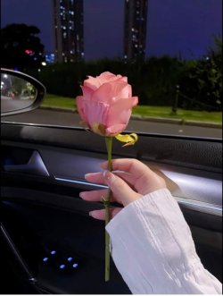 Bìa truyện Cự Tuyệt Thâm Tình - Zhihu