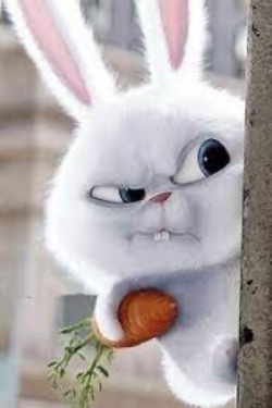 Bìa truyện Cuộc Phản Công Của Thỏ Con