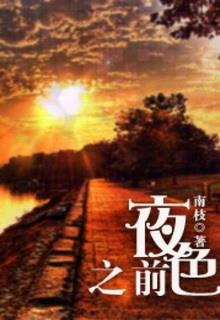 Bìa truyện Dạ Sắc Chi Tiền (Trước Đêm Tối) - Nam Chi
