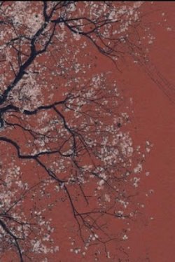 Bìa truyện Đã Xuyên Thì Phải Có Đôi Có Cặp - Zhihu