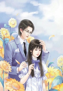 Bìa truyện Đại Hào Môn - Hãm Bính