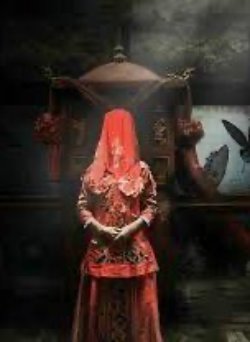 Bìa truyện Đám Cưới Ma