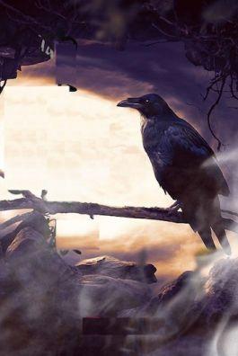 Bìa truyện Đàn Ông Đích Thực Có Gan Mặc Váy - Đào Bạch Bách