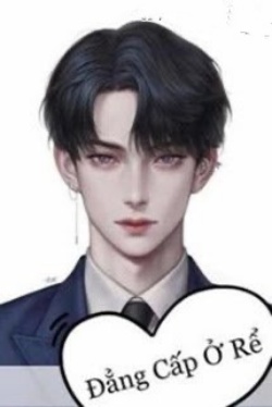 Bìa truyện Đẳng Cấp Ở Rể