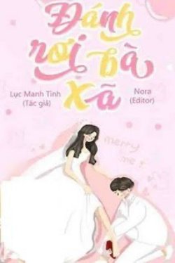 Bìa truyện Đánh Rơi Bà Xã