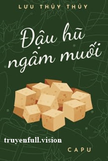 Bìa truyện Đậu Hũ Ngâm Muối - Lưu Thủy Thủy - Lưu Thủy Thủy