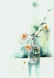 Bìa truyện Dấu Mộng - Tuyết Linh Chi