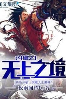 Bìa truyện Đấu Phá Thương Khung Vô Thương Cảnh Giới - Dạ Vũ Văn Linh