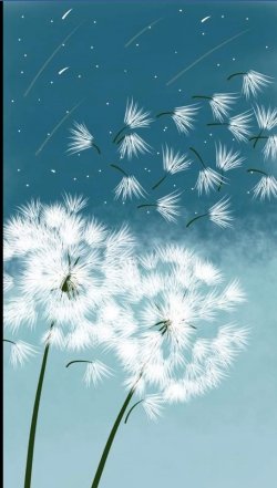 Bìa truyện Death Comes