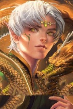 Bìa truyện Devil Cry Dragon Advanture