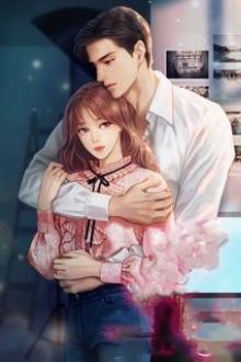 Bìa truyện Đích Thê Tại Thượng - Hoa Nhật Phi