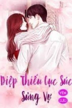 Bìa truyện Diệp Thiếu Cục Súc Sủng Vợ