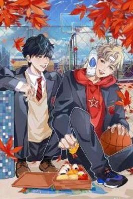 Bìa truyện Định Luật Nhím - Hàm Yên