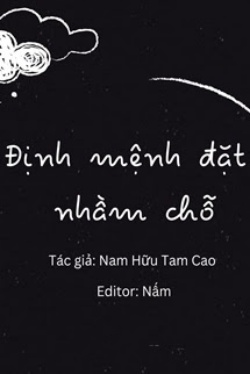 Bìa truyện Định Mệnh Đặt Nhầm Chỗ
