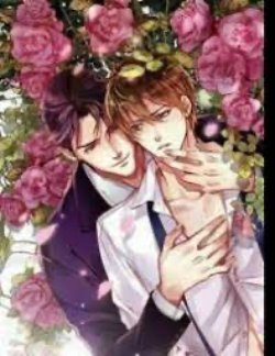 Bìa truyện [Đô Thị Kỳ Duyên Hệ Liệt] - Na Nhất Đoạn Tinh Quang - Phiền Lạc