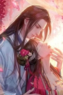 Bìa truyện Đoạt Thê - Dịch Chiêu