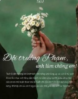 Bìa truyện Đội Trưởng Phạm Anh Làm Chồng Em!