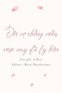 Bìa truyện Đôi Vợ Chồng Mẫu Mực Nay Đã Ly Hôn