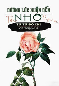 Bìa truyện Đương Lúc Xuân Đến Tôi Nhớ Người - Từ Từ Đồ Chi