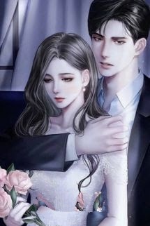 Bìa truyện Dưỡng Thê - Đông Nguyệt - Đông Nguyệt